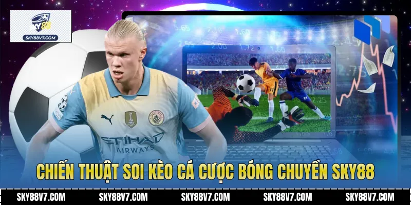 Chiến thuật soi kèo Cá Cược Bóng Chuyền Sky88