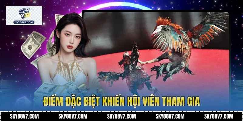 Điểm đặc biệt khiến hội viên tham gia