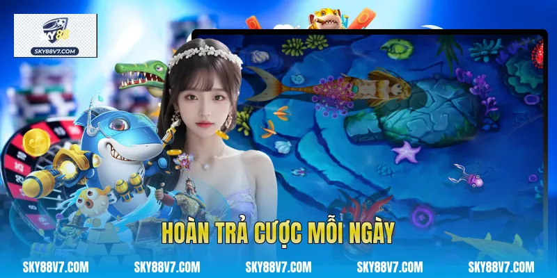 Hoàn trả cược mỗi ngày