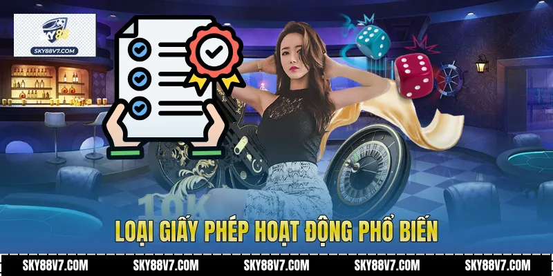 Loại giấy phép hoạt động phổ biến