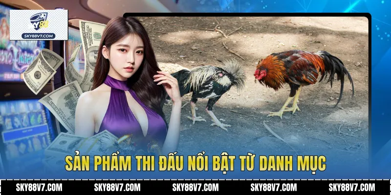Sản phẩm thi đấu nổi bật từ danh mục