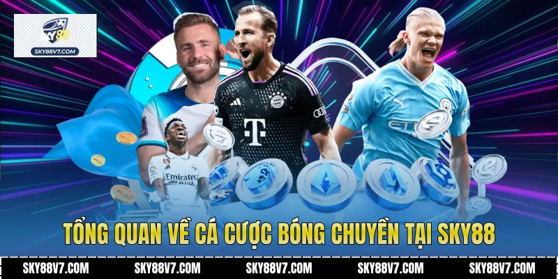 Tổng quan về Cá Cược Bóng Chuyền tại Sky88